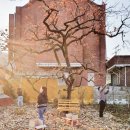 감꽃펜션 이미지