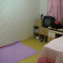 쟁골 Daum카페
