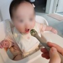 스푼 | [육아용품] 릴리팟 이유식용기 내열 유리용기 &amp; 이유식 스푼 솔직후기