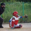 8.8. 경산시장기전국리틀야구대회 U9 vs 대구라이온즈 이미지