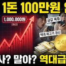 금시세 지금 사도 될까요? 알고 나면 마음 편하게 장기투자 할 수 있어요