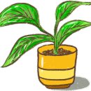 양평곤충박물관 이미지