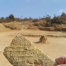 한진1리 이미지