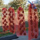 하나 숲 관광농원 이미지