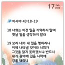 나이테