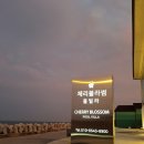 체리블라썸펜션 | [포항풀빌라펜션][내돈후기] 체리블라썸 펜션 후기!
