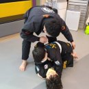 용인대 특전 합기도 이미지