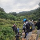 [금정산 챌린지 ]3탄 4대문 종주｜서문→고당봉→북문→동문→남문→파리봉→서문 16.53km 이미지