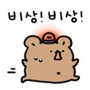 늘봄펫살롱 이미지