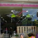 해피펫살롱 이미지