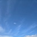 미라클 | [갈무리]코리아홈엑스 서귀포 서홍동 정리정돈수납 진행 장장13시간 진행하고 오다~