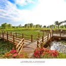 삼락생태공원 이미지