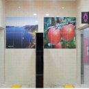 버스터미널 화장실 이미지