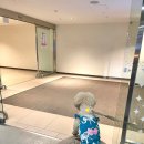 이마트에브리데이 부천SF점 | 부천 스타필드 시티 애견동반 펫파크&amp;몰리스펫샵 방문기