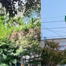 쌍용3동행정복지센터 이미지