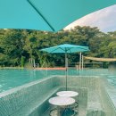 에코랜드수영장 이미지