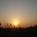 해뜨는풍경 이미지