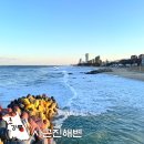 사근진해변 해중공원 | 강원도 동해바다 겨울 강릉 여행 사근진해변 해중공원 전망대