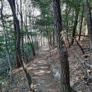 달마고도 이미지