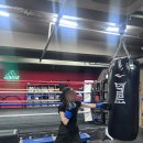 거북강남 복싱체육관 | 강남복싱 입문자도 편하게 시작한 홍수환스타복싱체육관 강남점 1:1 복싱피티 후기