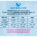소암로 | 물 공포증 이겨낸 프리다이빙 LV 1+2 PADI 자격증 3일 과정 블루웨일다이브 후기