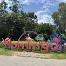 멍하니반하다 이미지