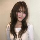 다연컨설팅