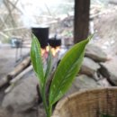 티소믈리에 이미지