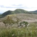 온가을054 이미지