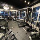 팀현gym 이미지