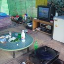 아담농장 이미지