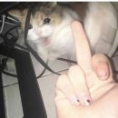 일리PC방 이미지