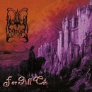 뉴클리어클린 | DIMMU BORGIR - For All Tid(1994)