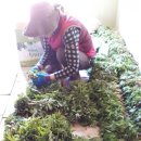 사나물농장 이미지