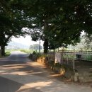 합천효심푸드 이미지