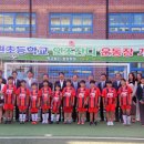 청원초등학교 이미지