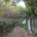 봉제산 등촌동 숲속놀이터 | 강서구의 남쪽 지붕, 봉제산을 찾아서 (봉제산둘레길, 봉제산숲속놀이터)