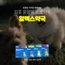 알렉스약국 네이버블로그