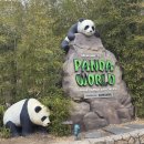 오케이랜드앤하우스 | 에버랜드 주토피아 푸바오 루이 후이 데이트 레서 판다 월드 바오 패밀리 굿즈 인형 후기