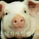 수락이오냉면 이미지