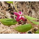 석영농장 이미지