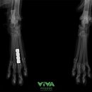 비바동물병원 이미지