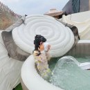 도그 팰리스 이미지