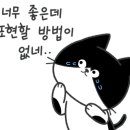 멜버른 승마 이미지