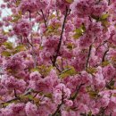 선흘1리경로당 이미지