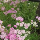 정원약국 이미지