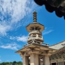 불국사한의원 | (250830) 경주 뚜벅이 여행 2일차- 불국사, 석굴암, 동궁과 월지!- 8.18 여행