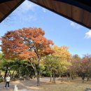 테라커피 부천중동시장점 이미지