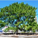 해남군청 이미지