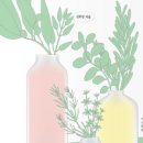 라벤더하우스 이미지